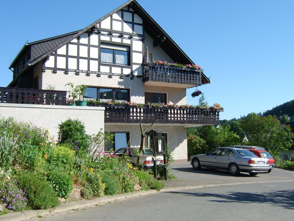 Haus Cristallo Apartment Olsberg Exterior photo