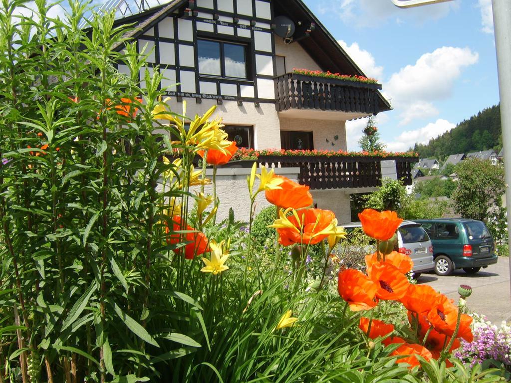 Haus Cristallo Apartment Olsberg Exterior photo